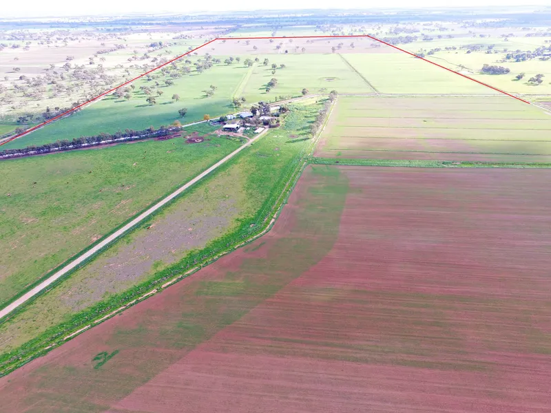 320 Acres of Top shelf Wandella ground
