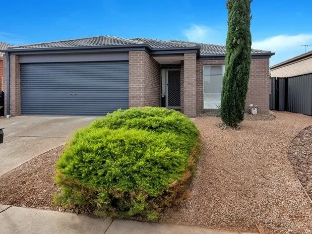 A Cosy Treat on Camelot!