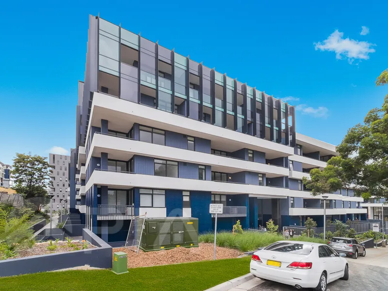 Near New Luxury Apartment for lease