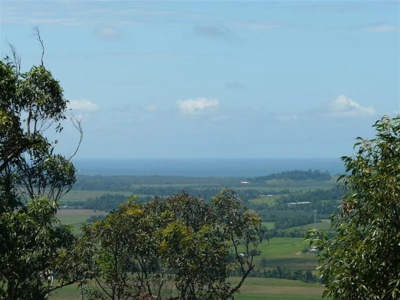 BASIL'S PEAK