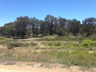 5.38 ACRES WITH ACCESS TO ELECTRICITY