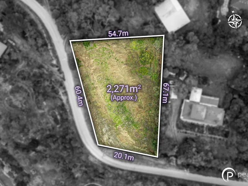 Elevate Your Expectations