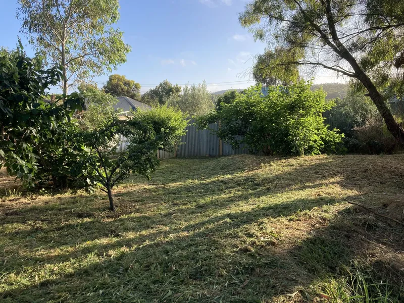 Private elevated leafy block of land with treetop views 584sqm