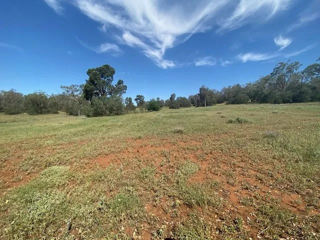 ACREAGE WITH ELEVATED VIEWS