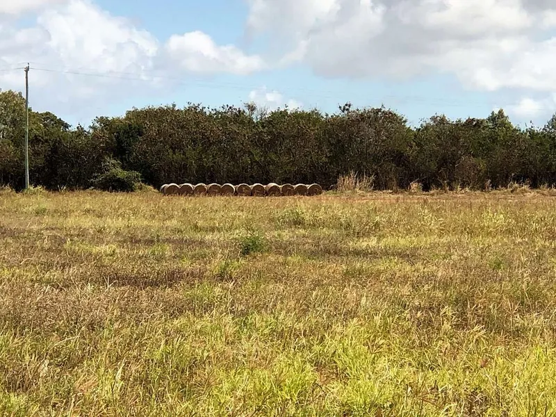 Farming | Irrigation | Lifestyle