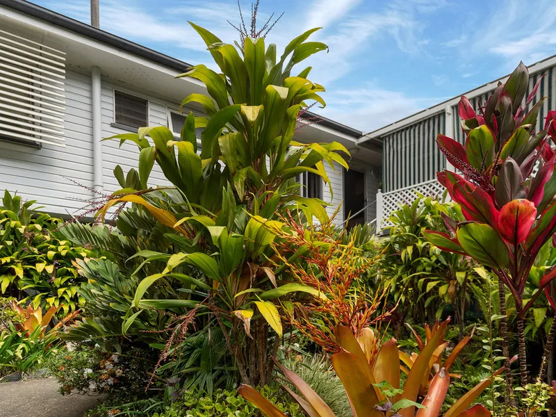 An Exciting Opportunity Awaits