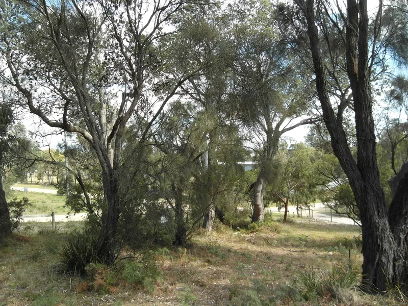 Larger Than Average Block With Views To The Ranges!