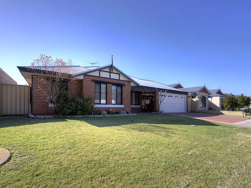 Investment on a plate!