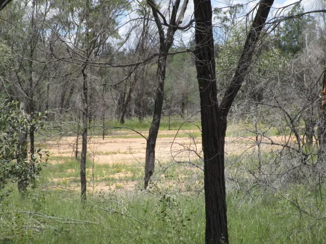ACREAGE WITH BITUMEN ROAD FRONTAGE