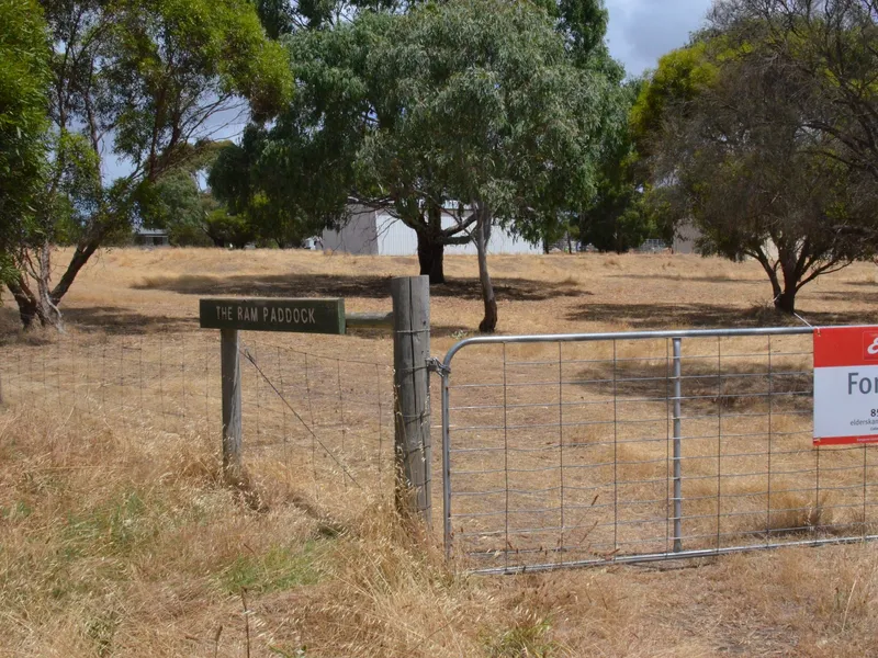 ACREAGE CLOSE INTO THE TOWN, BUILD TO USE THE SLOPE.