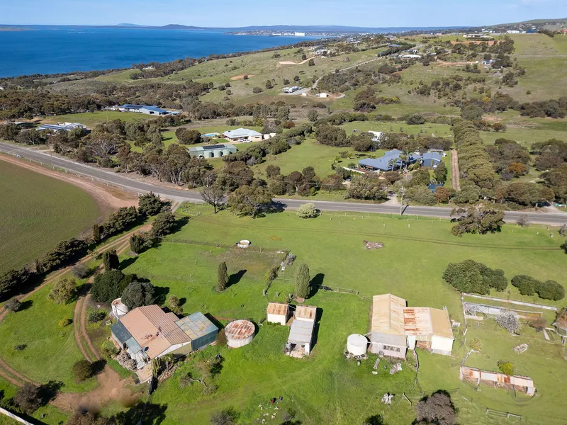 Absolute Unique Offering