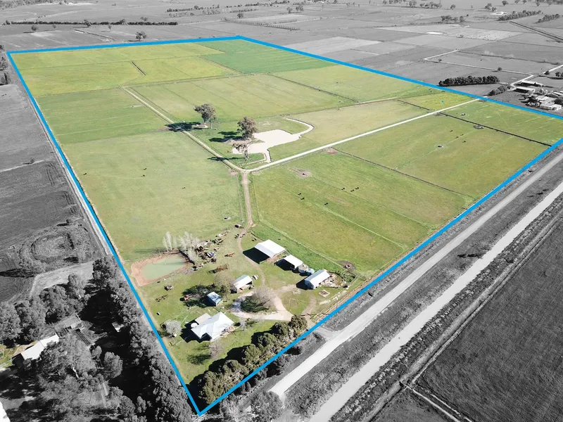 LIFESTYLE / OUTBLOCK    