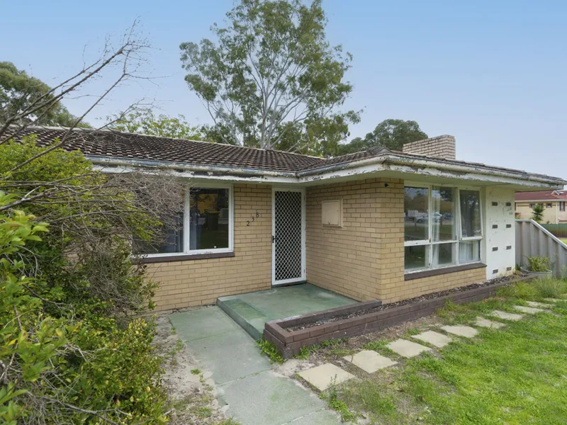 Envision Your Dreams Here - Development Potential Opportunity!