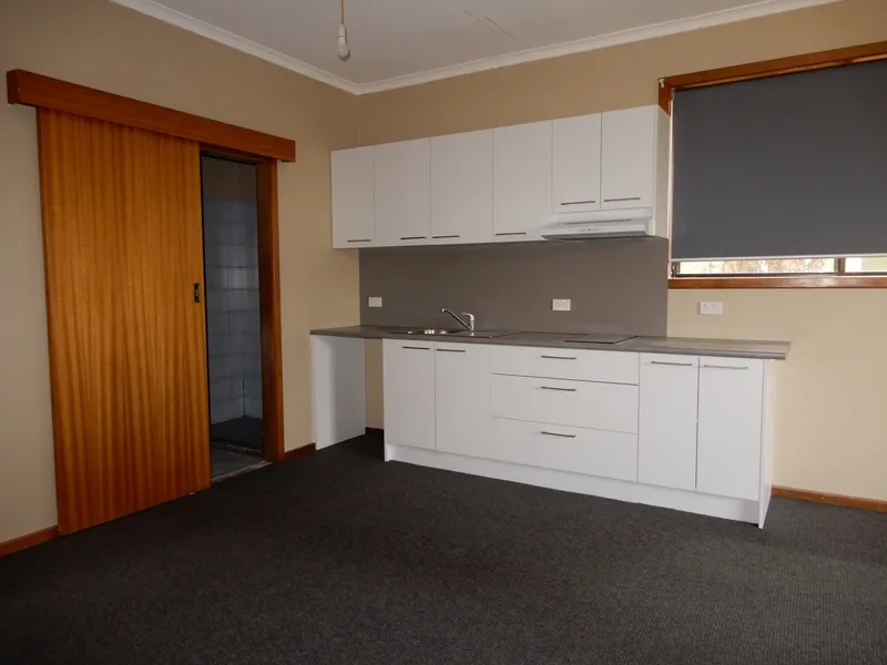 Fully renovated 1 Bedroom Unit