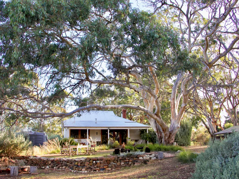 1130 PLAYFORD HWY, CYGNET RIVER