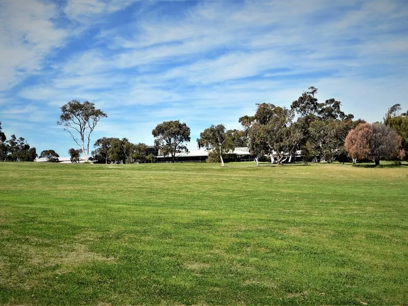 Great Spot & Great Price!