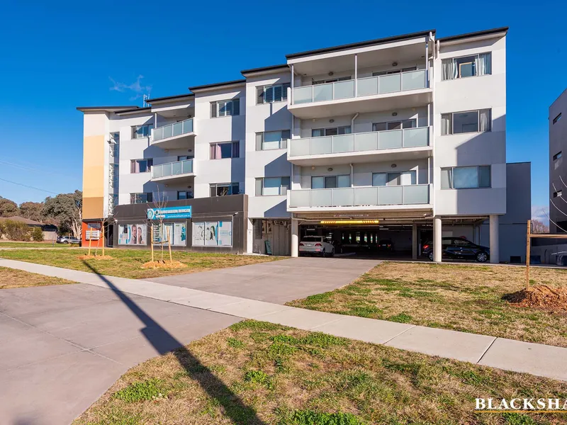Light Filled Open Plan Living