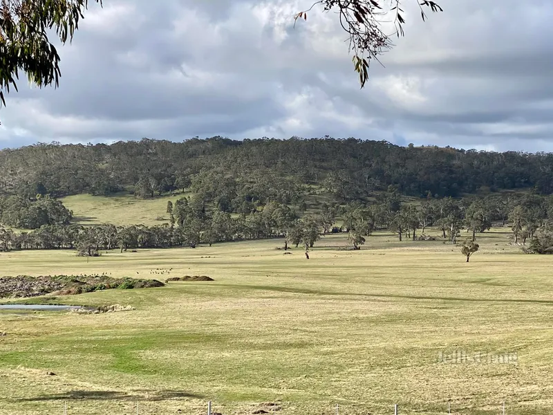 The rarest of rare 110 acres (44.88ha) corner of Boundary and Jim Roads