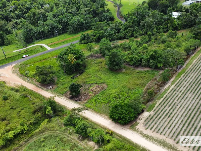 Almost half an acre - Lifestyle Block