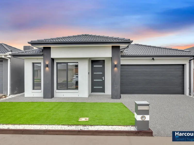 Brand New Home for Family Living