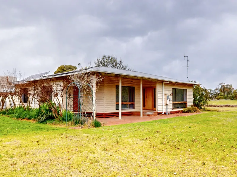 Productive 42 acres with two large sheds