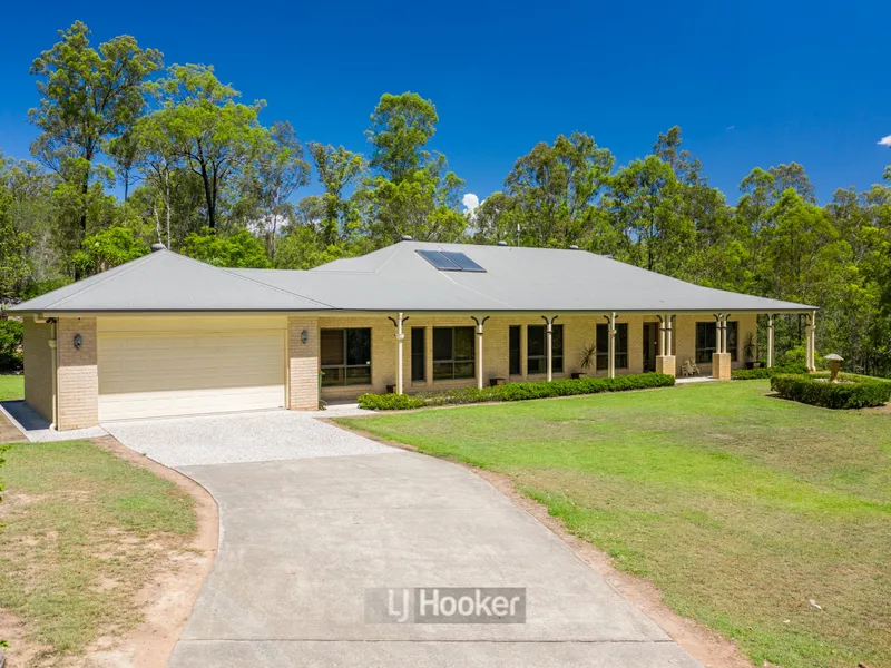 BUSINESS - FAMILY & POTENTIAL