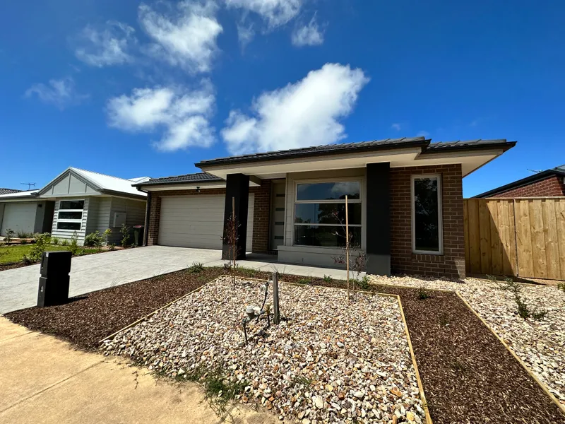 Brand New Home facing park & wetlands