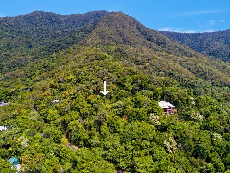 Build Dream Home in Tropical Rainforest