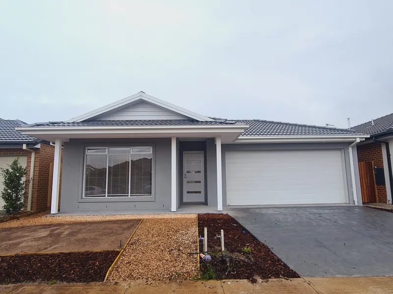 Brand New and Ready For You