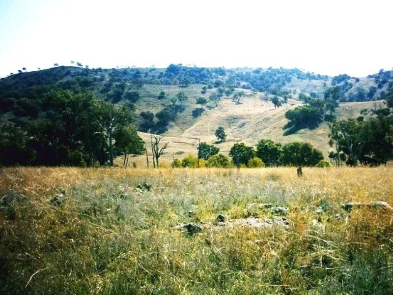 Acres, Acres, 4217 Acres.