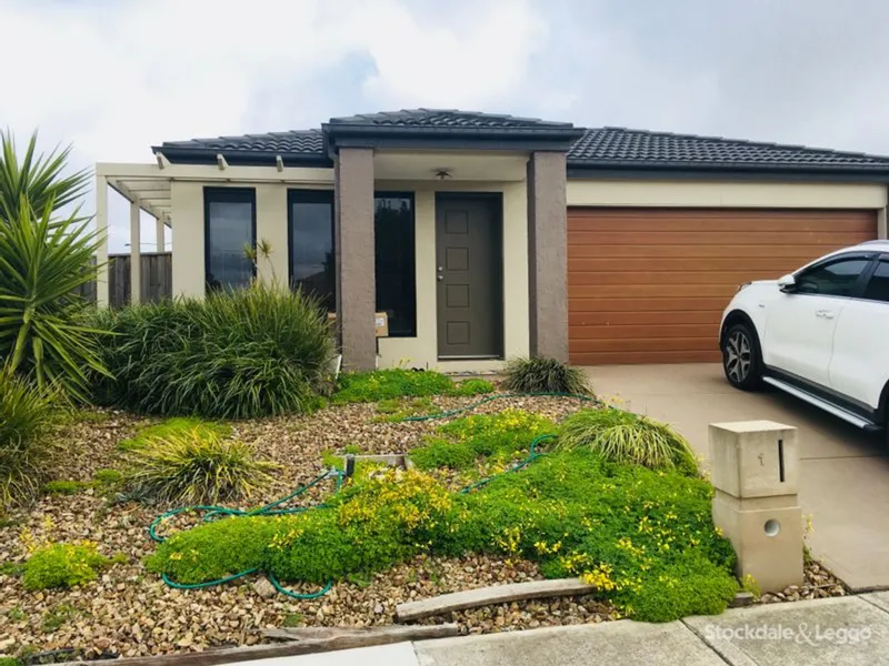 BLUE HILL IS THE WAY TO GO HOME