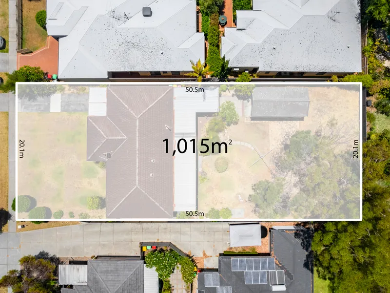 Make your dreams come true right here.