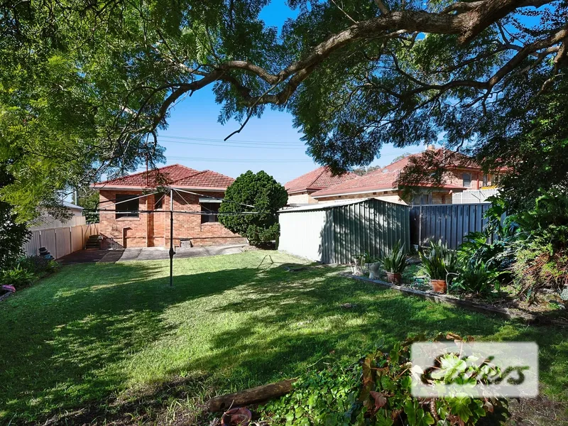 Generous Family Yard with Great Climbing Tree