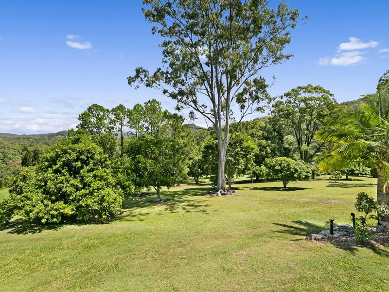 Sleek, Industrial Style Set Amongst Lush Greenery