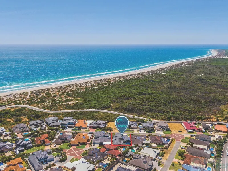 Entertainers' paradise