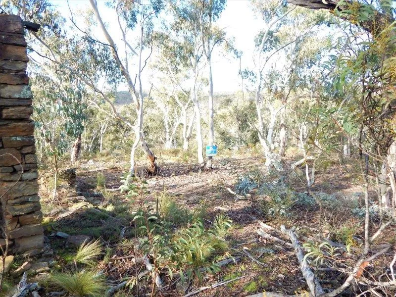 Lot 21 Cowra Creek Camp