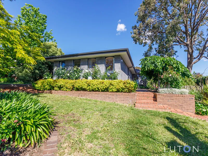 PERFECT SUMMER ENTERTAINER!