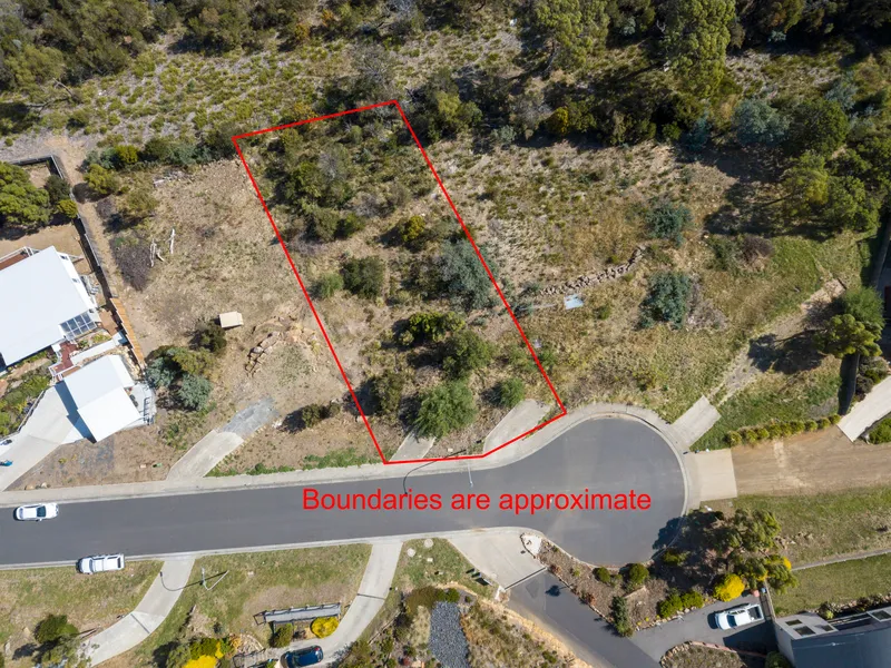 Start living your dream