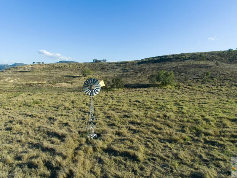 Grazing country with 3 titles
