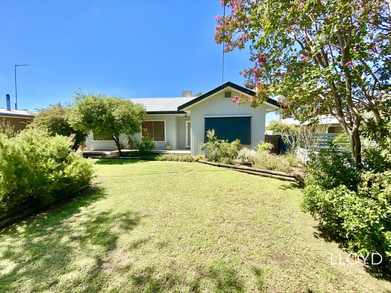 What more could you ask for?