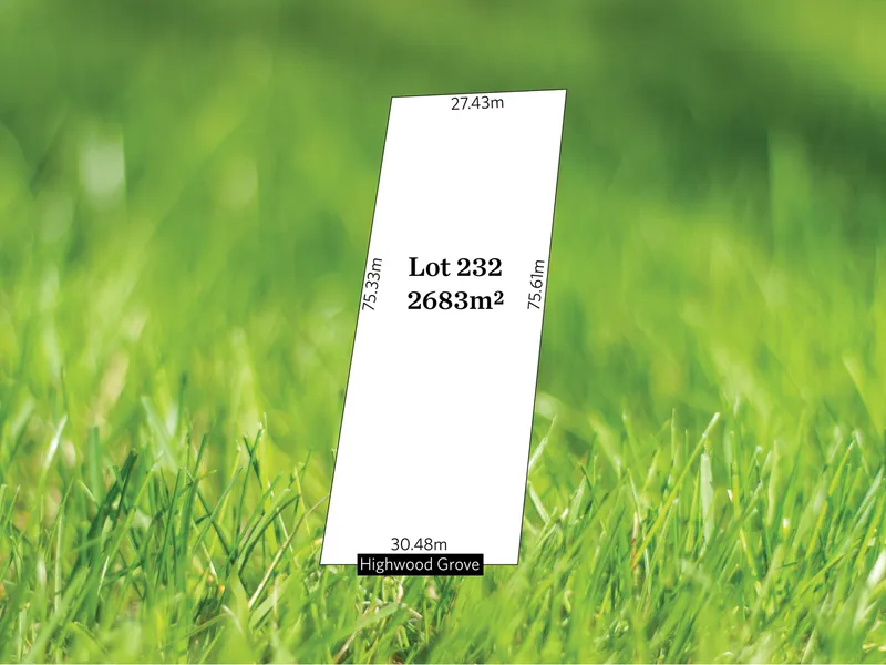 Rare vacant land with attractive distant