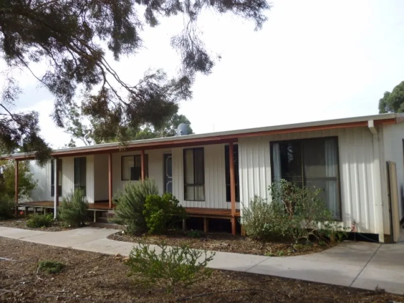 Too Good To Be True!