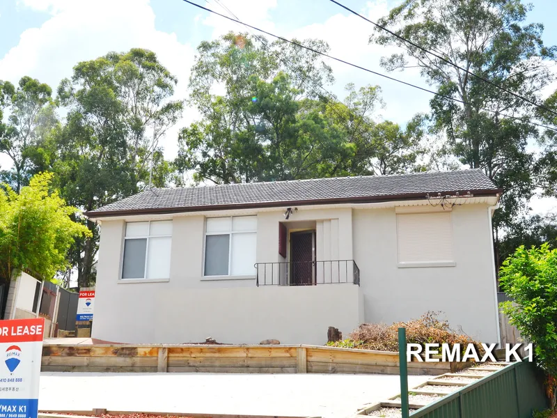 Affordable family house