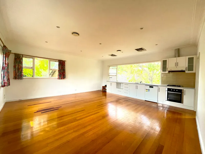 Hidden Gem on Park Road