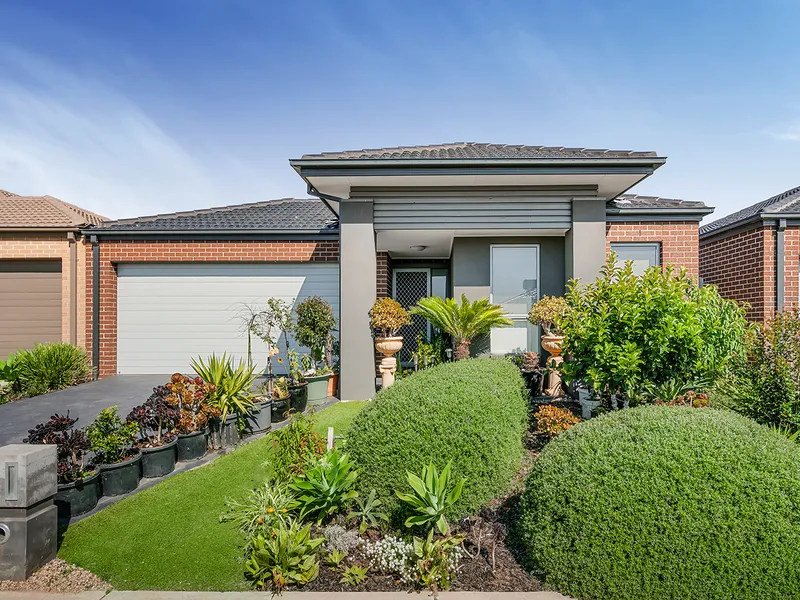 Family  showcase with unbeatable location