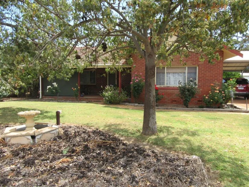 45 Mayrhofer Street  THREE SPRINGS $135,000.