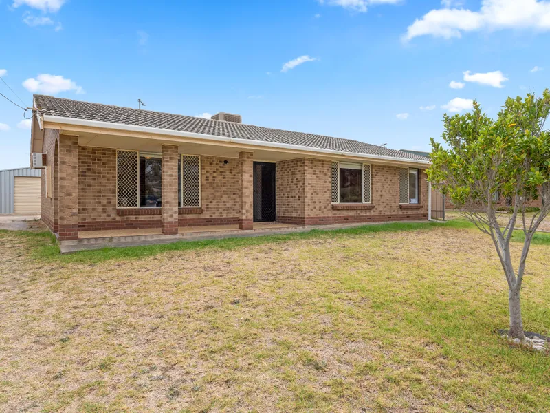 Family Friendly yard