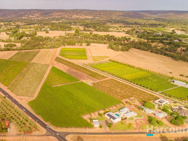 Swan Valley Business-Lifestyle/Tourism Opportunity