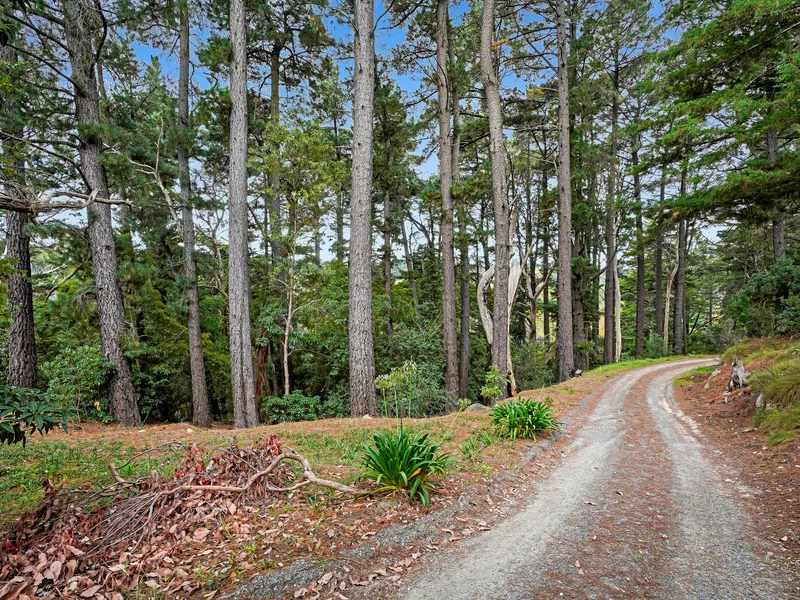 Blank Canvas, Cottage With Massive Extension, Interior Fitout Required