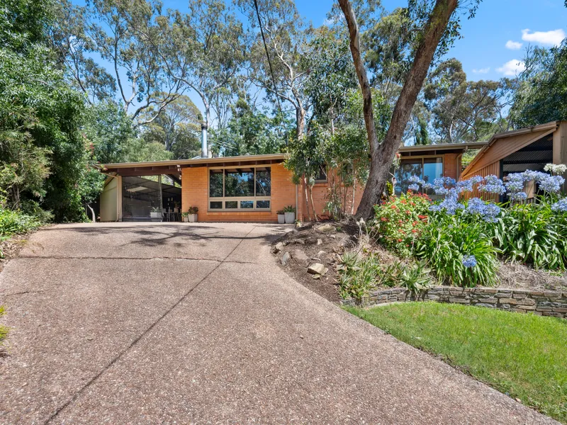 Split-Level Gem with Endless Entertainment Potential